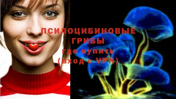 скорость Белокуриха
