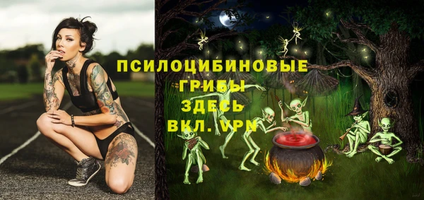 скорость Белокуриха