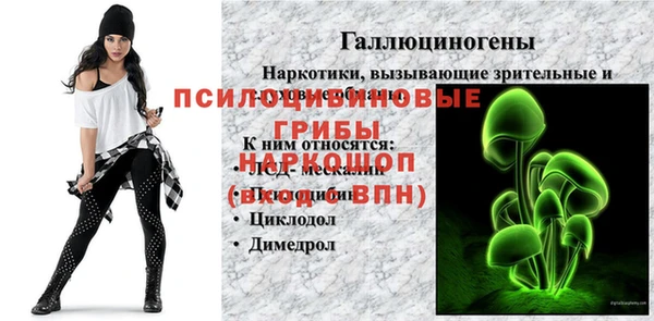 скорость Белокуриха