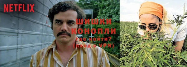 скорость Белокуриха
