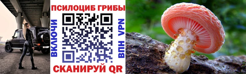 дарнет шоп  Макаров  KRAKEN рабочий сайт  Псилоцибиновые грибы Psilocybe 